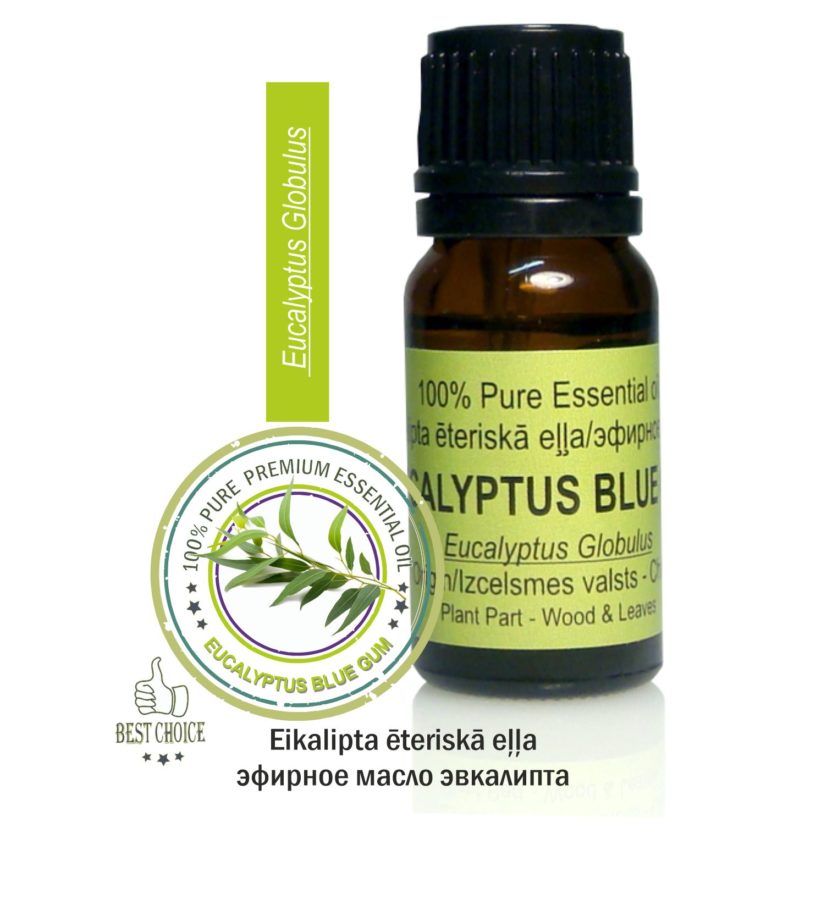 Essential oil EUCALYPTUS BLUE GUM, 10ml