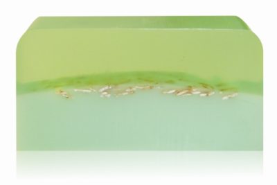 WILD MINT SOAP Handcrafted soap Natural soap Handmade soap Exfoliating Soap Soap with oats flakes