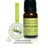 Essential oil EUCALYPTUS BLUE GUM, 10ml Essential oil EUCALYPTUS BLUE GUM