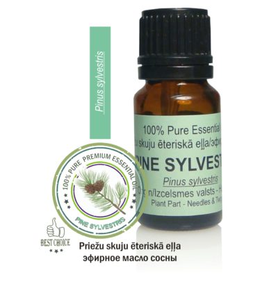 Essential oil PINE SYLVESTRIS