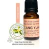Essential oil YLANG YLANG
