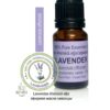 Essential oil LAVENDER